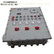 2014款內(nèi)蒙古呼倫貝爾電氣控制柜價格 BXK防爆控制箱市場分析